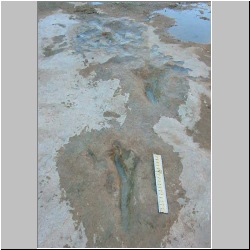 MVC-012S (2000a3) mod.JPG